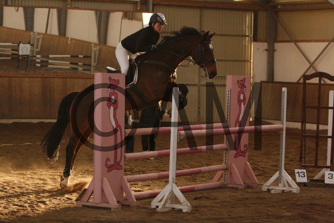 17/03 - 13 | Glostrup rideklub, spring billede 284