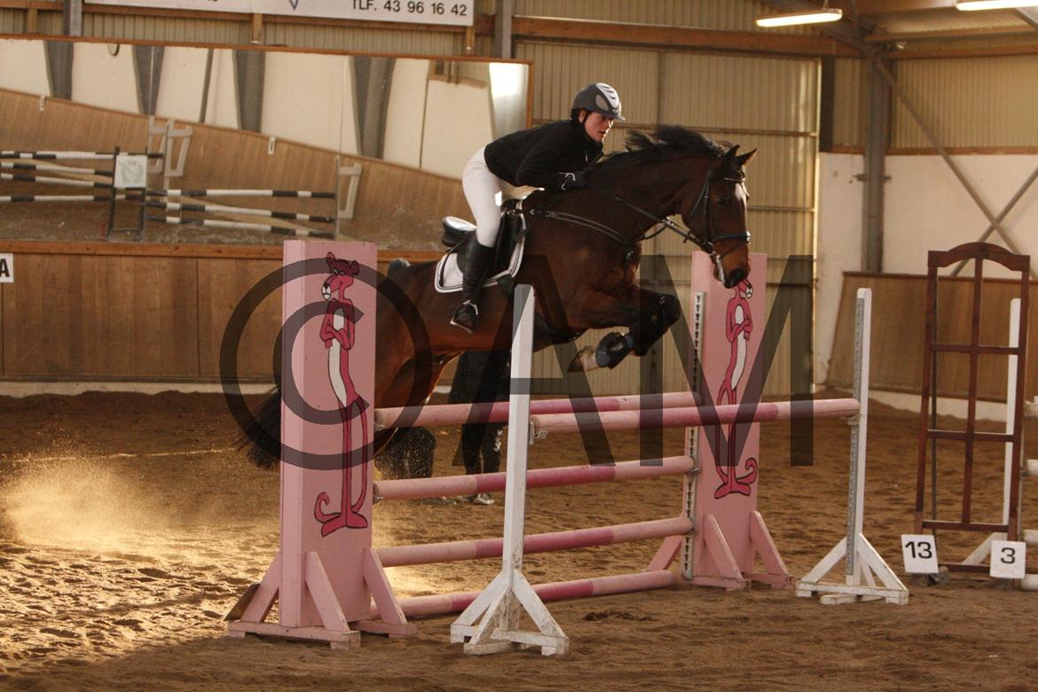 17/03 - 13 | Glostrup rideklub, spring billede 285