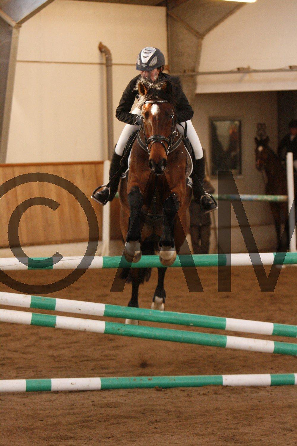 17/03 - 13 | Glostrup rideklub, spring billede 286