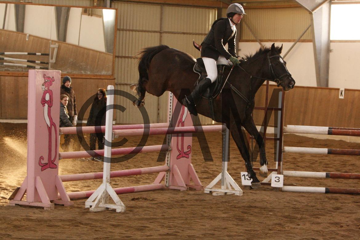 17/03 - 13 | Glostrup rideklub, spring billede 289