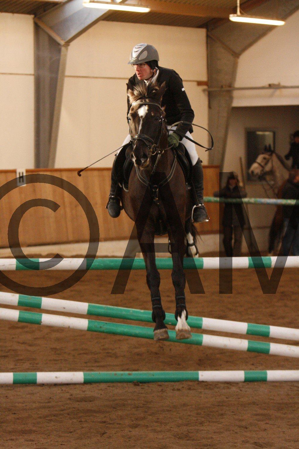 17/03 - 13 | Glostrup rideklub, spring billede 291