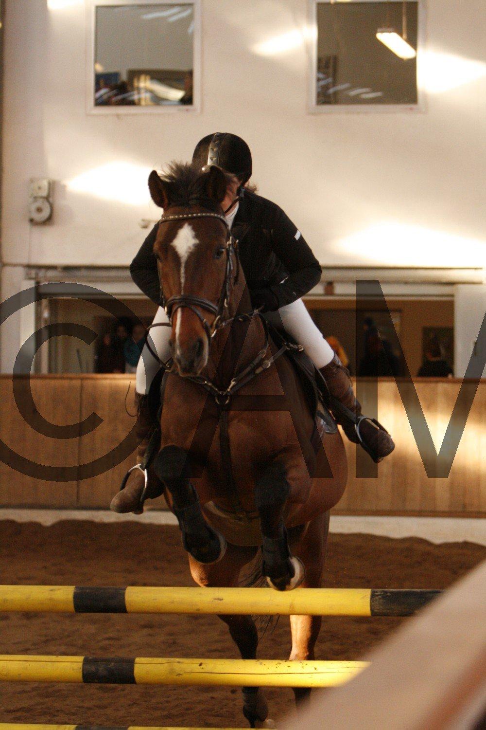 17/03 - 13 | Glostrup rideklub, spring billede 292