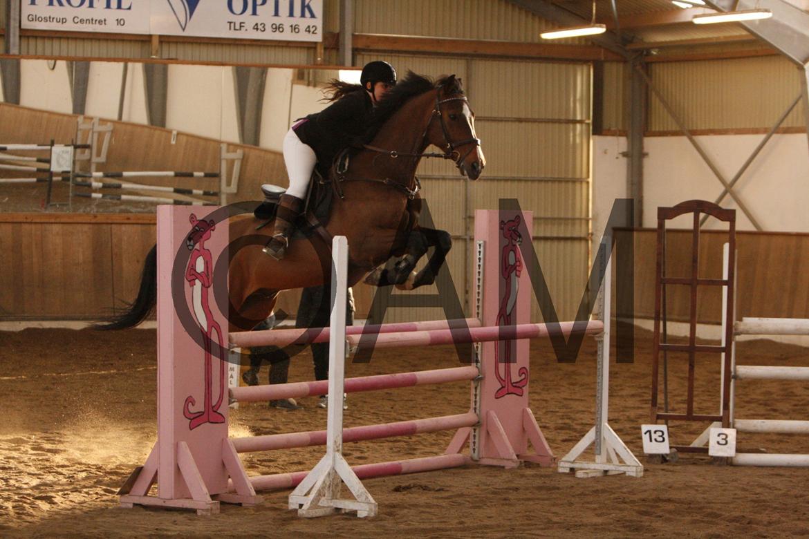 17/03 - 13 | Glostrup rideklub, spring billede 294