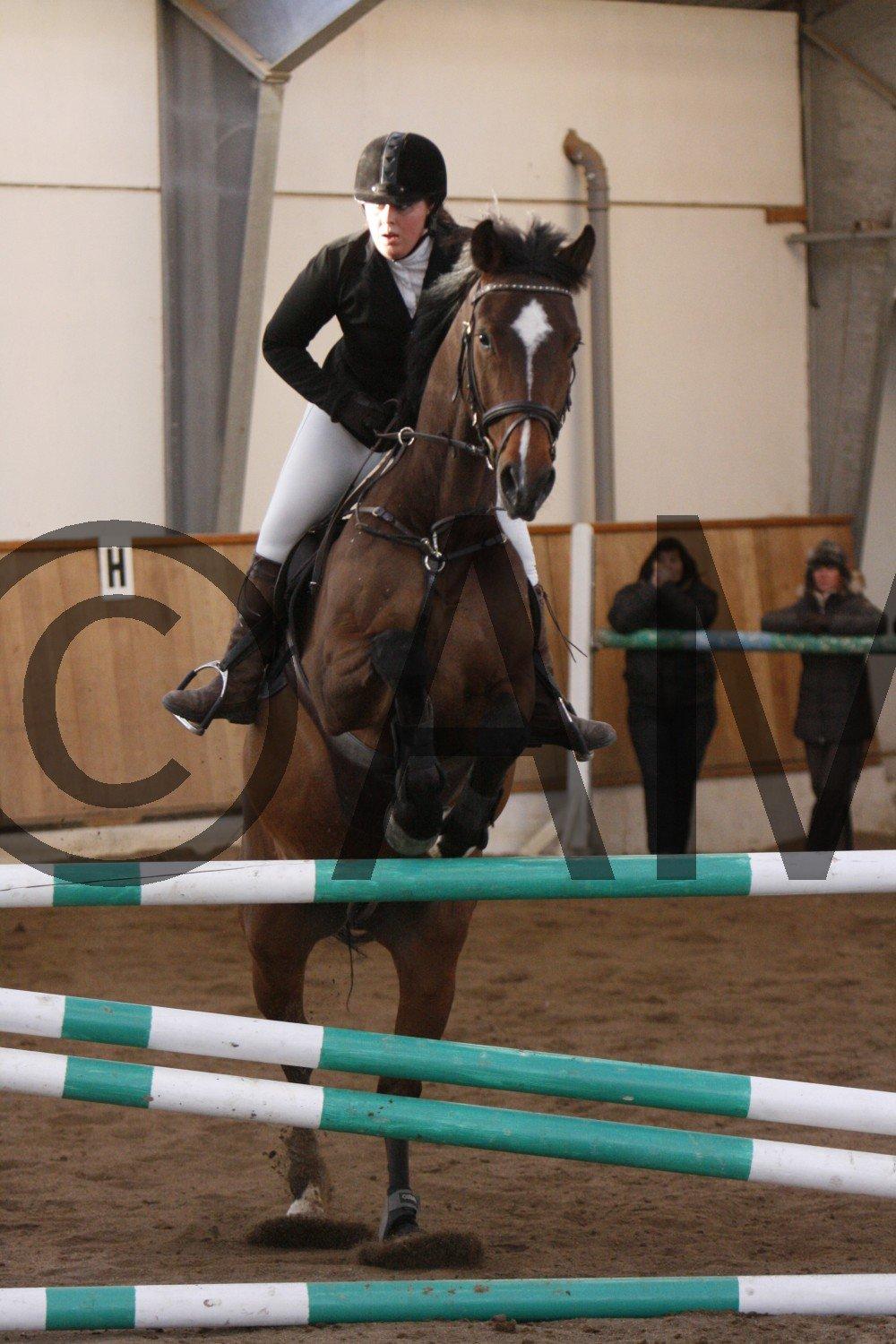 17/03 - 13 | Glostrup rideklub, spring billede 295