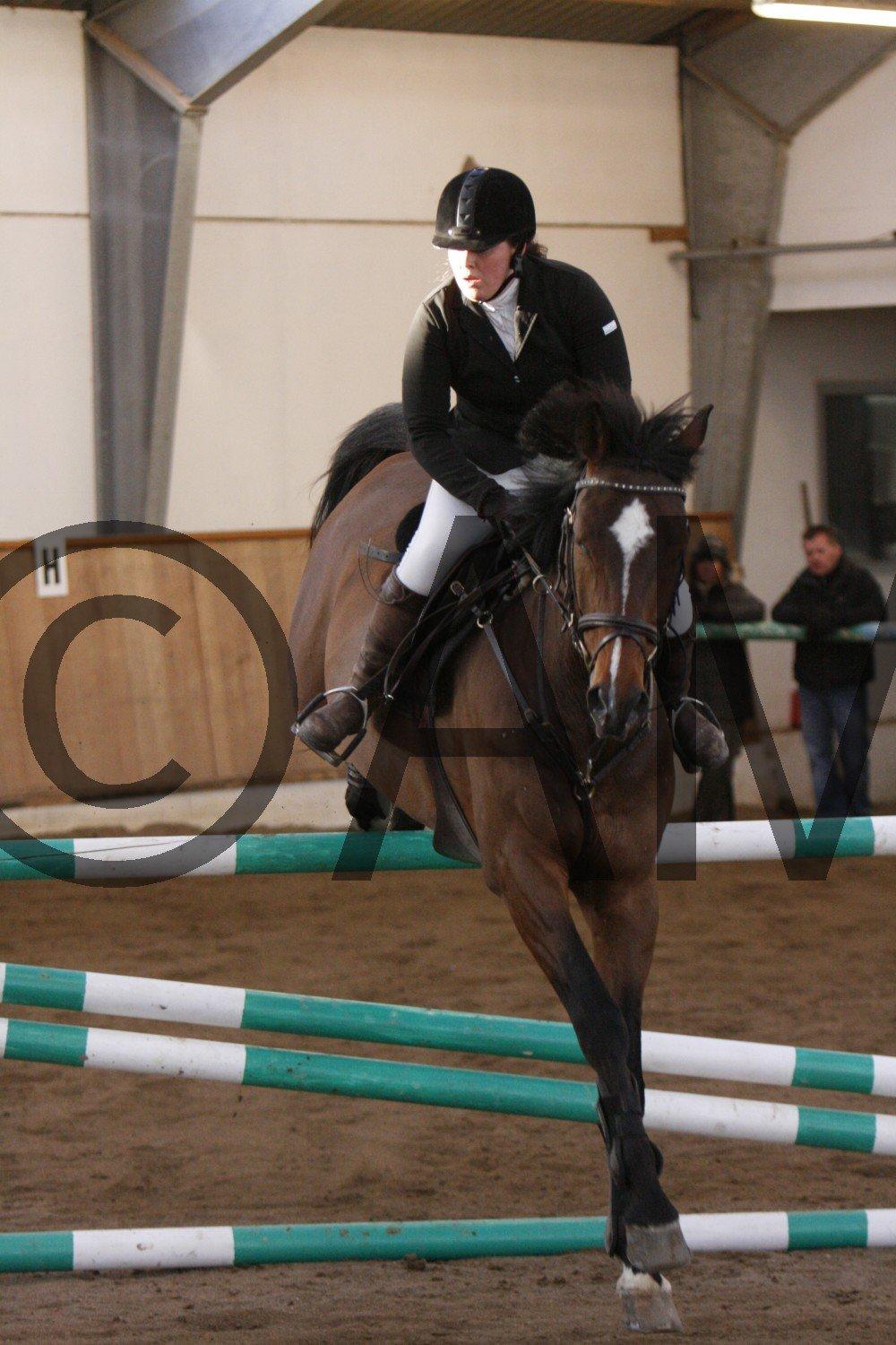 17/03 - 13 | Glostrup rideklub, spring billede 296