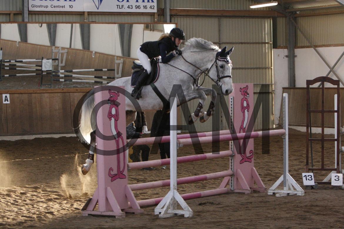 17/03 - 13 | Glostrup rideklub, spring billede 297