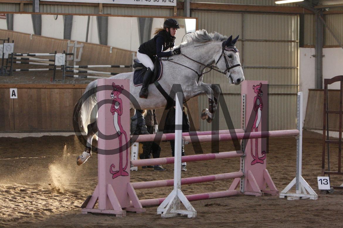 17/03 - 13 | Glostrup rideklub, spring billede 299