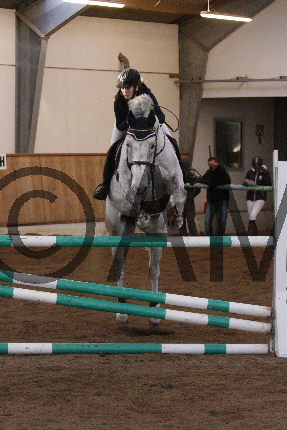 17/03 - 13 | Glostrup rideklub, spring billede 300