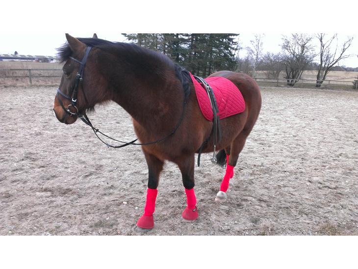 {{currentPhoto.altText}} billede {{currentPhoto.number}}