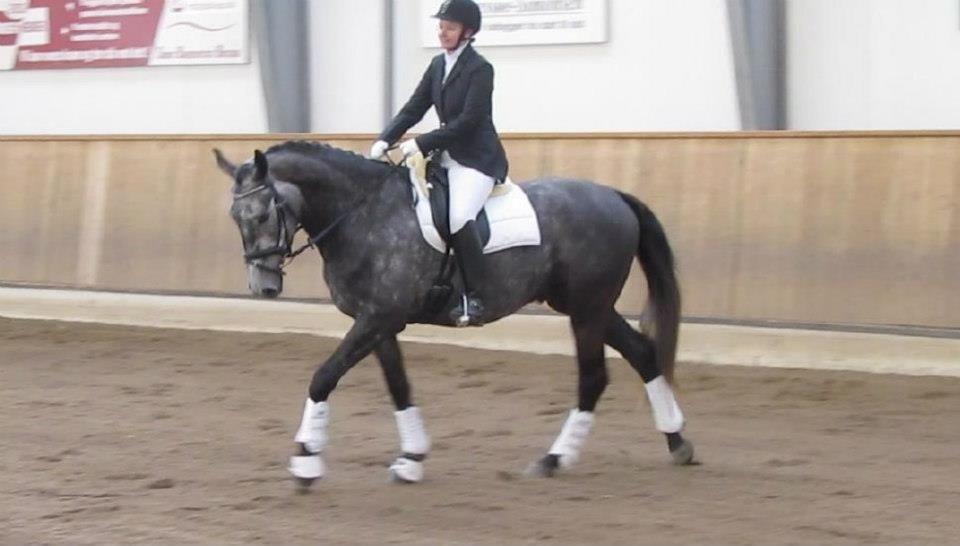 LB1 - A bane Glostrup C-stævne billede 16