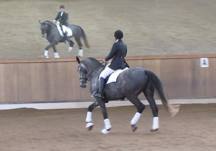 LB1 - A bane Glostrup C-stævne billede 17