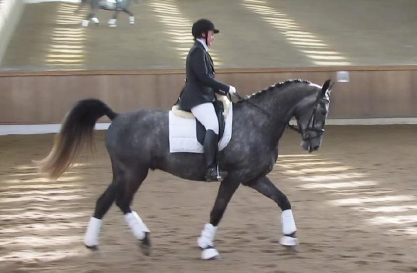 LB1 - A bane Glostrup C-stævne billede 13