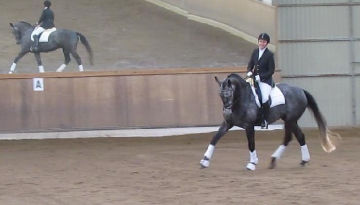 LB1 - A bane Glostrup C-stævne billede 11