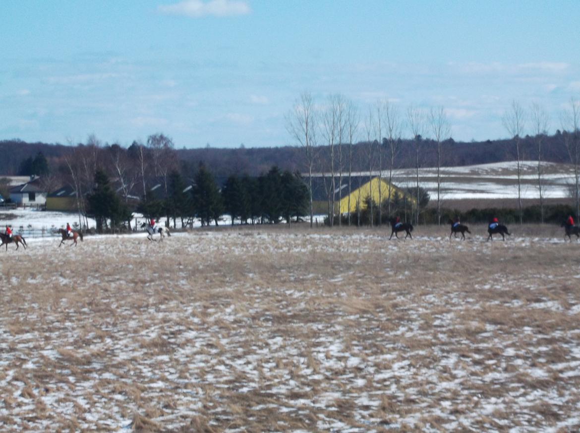 Forskellige af Amir & Jones. :P + Lidt jagtbilleder billede 3