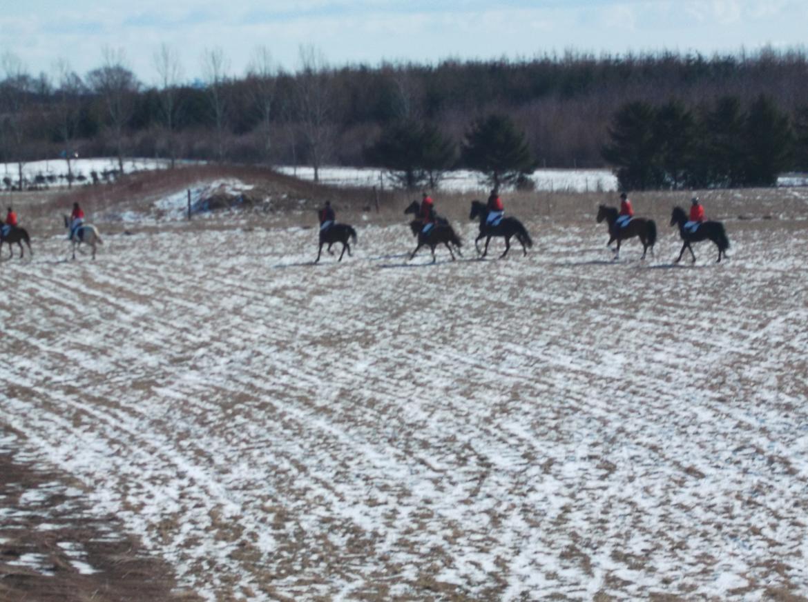 Forskellige af Amir & Jones. :P + Lidt jagtbilleder billede 4