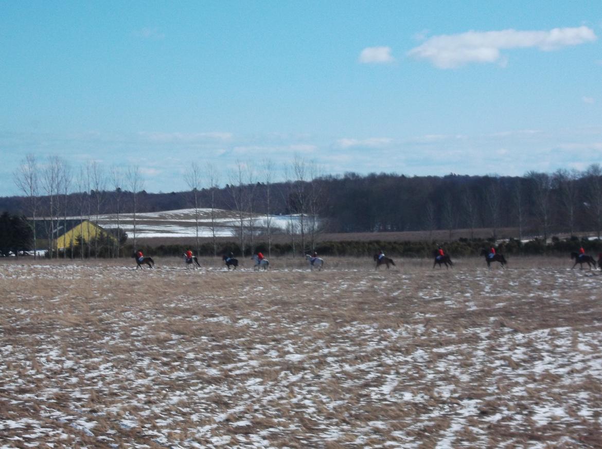 Forskellige af Amir & Jones. :P + Lidt jagtbilleder billede 5