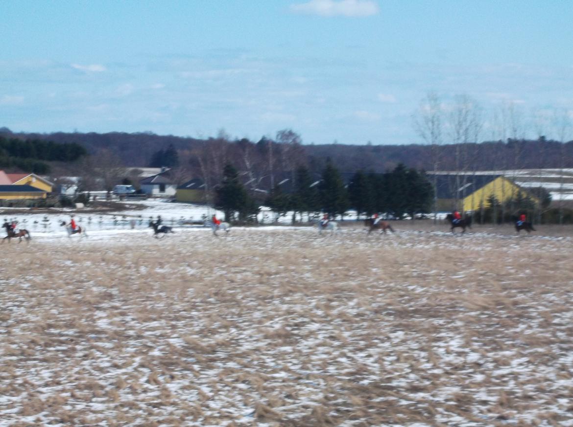 Forskellige af Amir & Jones. :P + Lidt jagtbilleder billede 6