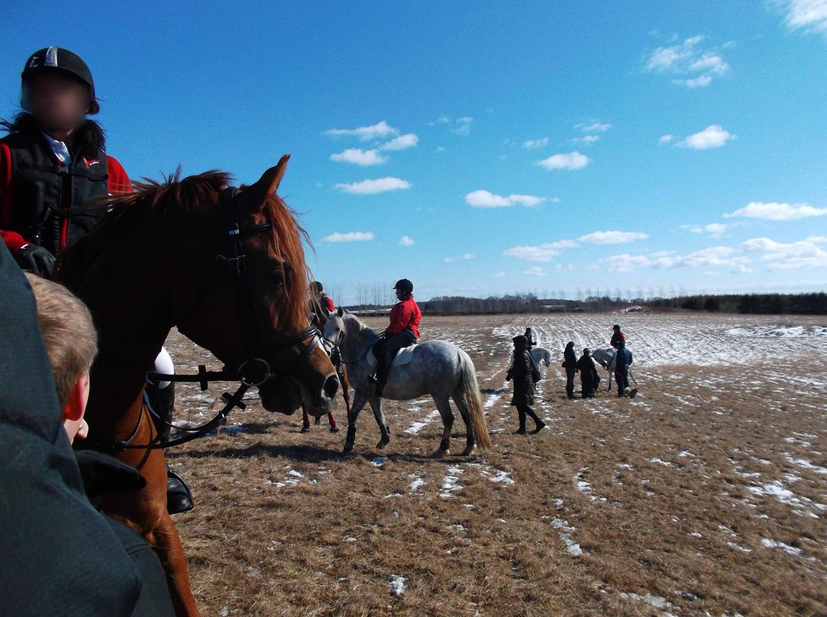 Forskellige af Amir & Jones. :P + Lidt jagtbilleder billede 10
