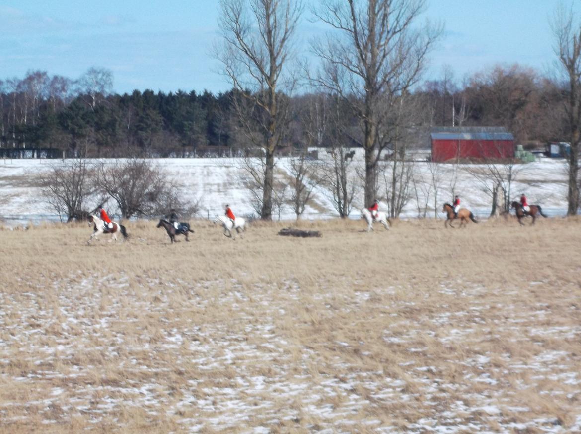 Forskellige af Amir & Jones. :P + Lidt jagtbilleder billede 9