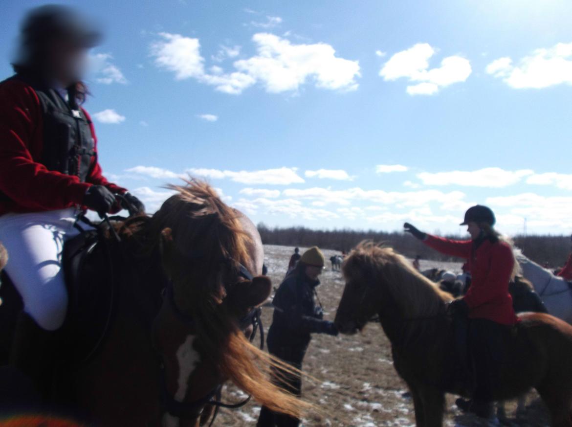 Forskellige af Amir & Jones. :P + Lidt jagtbilleder billede 11