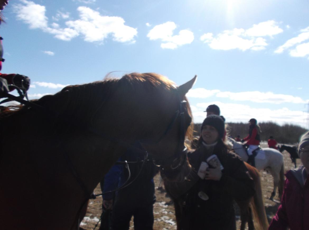 Forskellige af Amir & Jones. :P + Lidt jagtbilleder billede 12