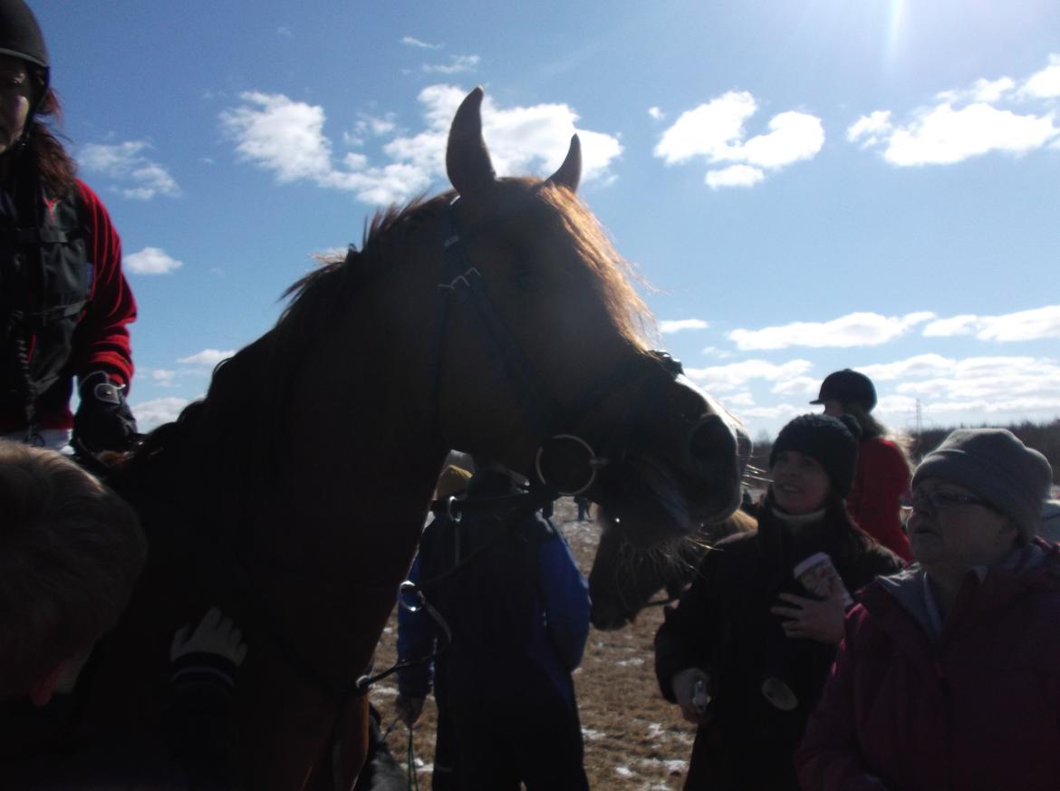Forskellige af Amir & Jones. :P + Lidt jagtbilleder billede 13