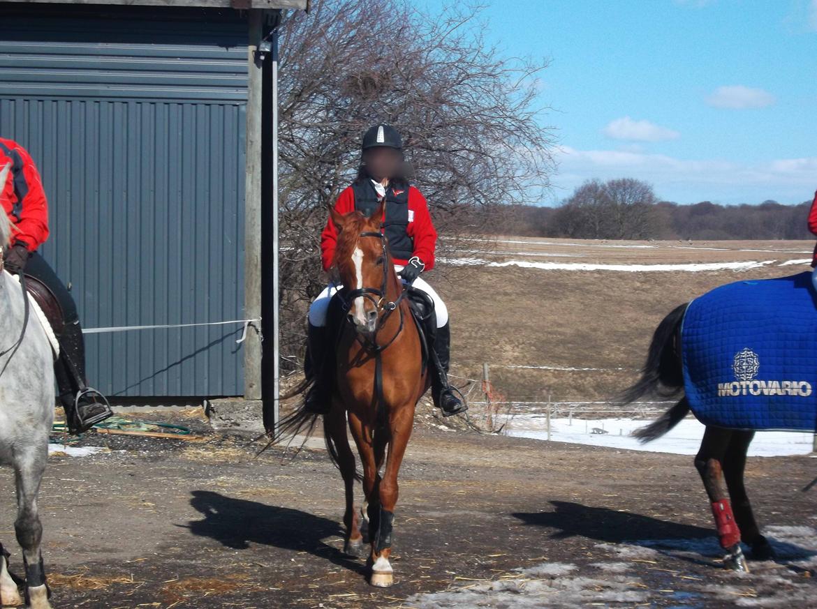 Forskellige af Amir & Jones. :P + Lidt jagtbilleder billede 16