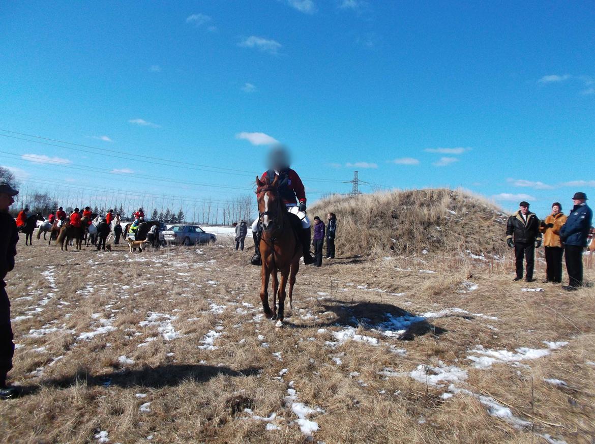 Forskellige af Amir & Jones. :P + Lidt jagtbilleder billede 18