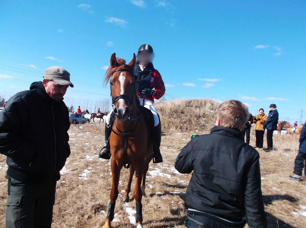 Forskellige af Amir & Jones. :P + Lidt jagtbilleder billede 19