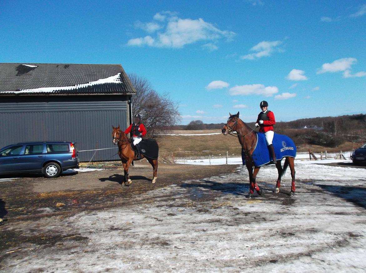 Forskellige af Amir & Jones. :P + Lidt jagtbilleder billede 22