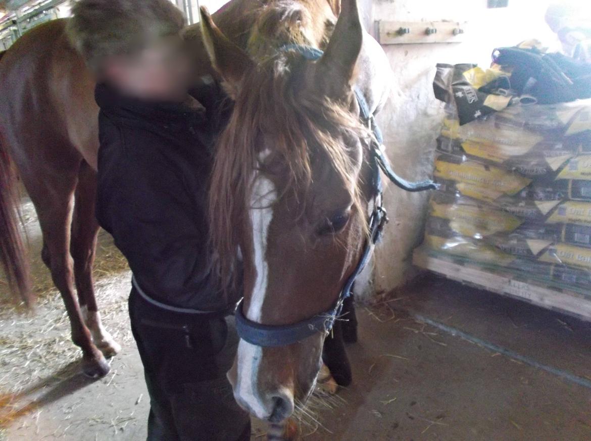 Forskellige af Amir & Jones. :P + Lidt jagtbilleder billede 23