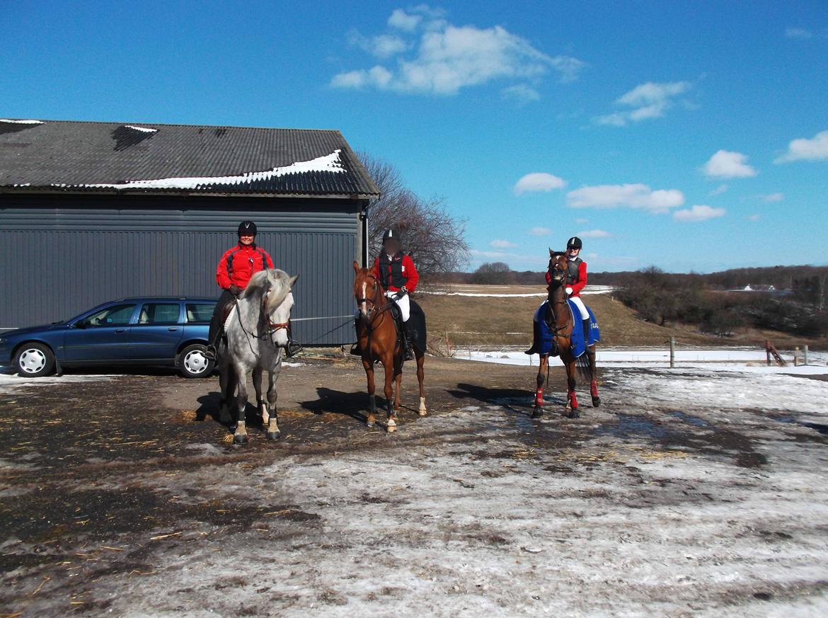 Forskellige af Amir & Jones. :P + Lidt jagtbilleder billede 24