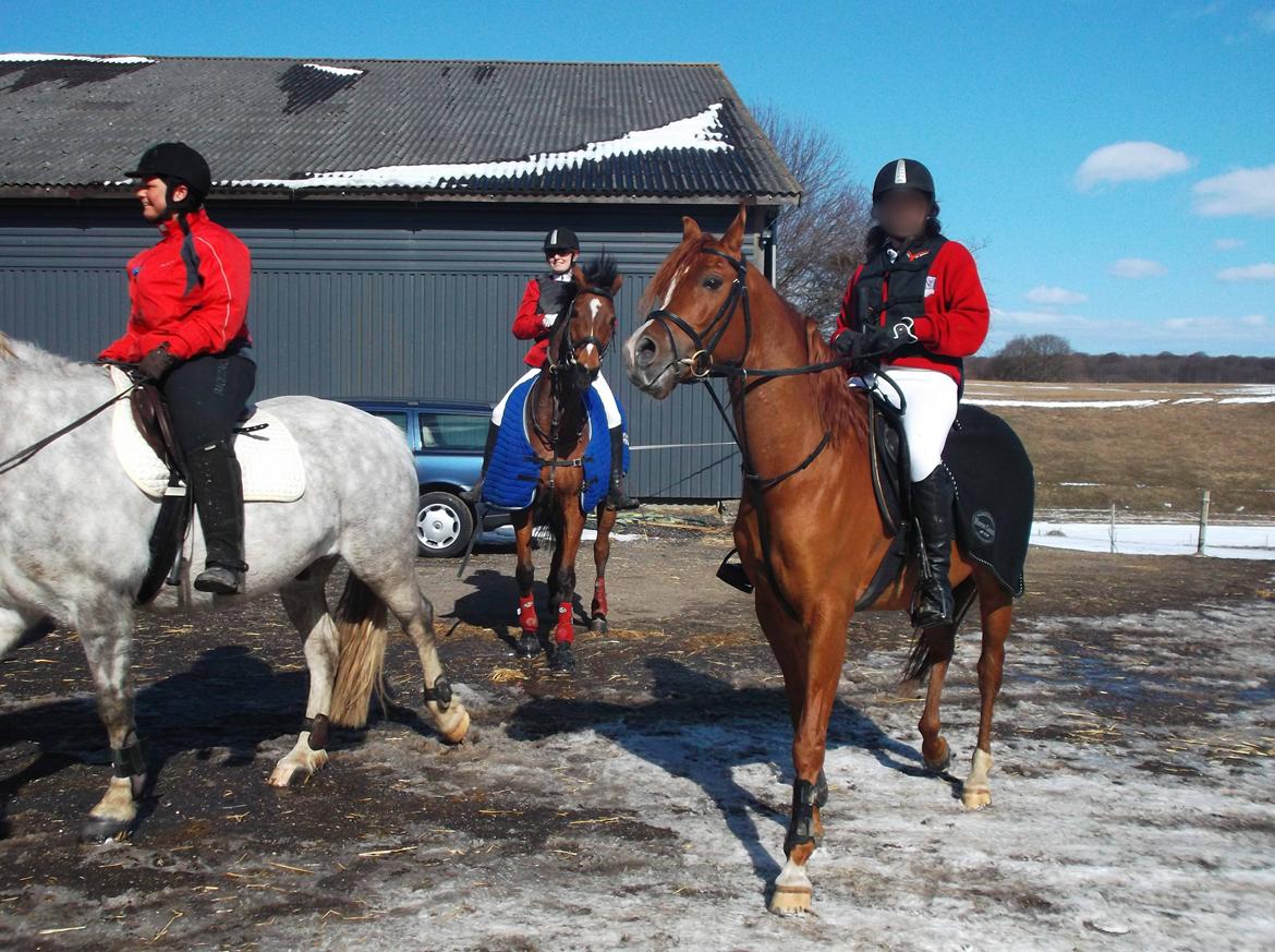 Forskellige af Amir & Jones. :P + Lidt jagtbilleder billede 25
