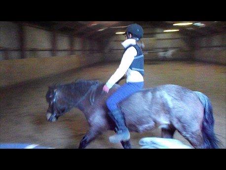 Forskellige af Amir & Jones. :P + Lidt jagtbilleder billede 31