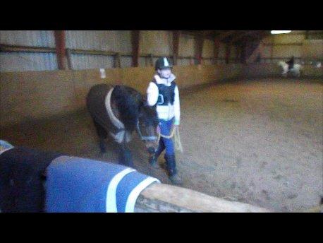 Forskellige af Amir & Jones. :P + Lidt jagtbilleder billede 32