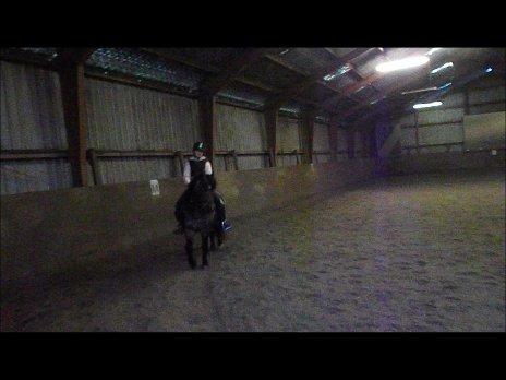 Forskellige af Amir & Jones. :P + Lidt jagtbilleder billede 33