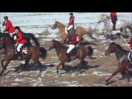 Forskellige af Amir & Jones. :P + Lidt jagtbilleder billede 34