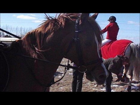 Forskellige af Amir & Jones. :P + Lidt jagtbilleder billede 35