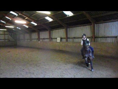 Forskellige af Amir & Jones. :P + Lidt jagtbilleder billede 37