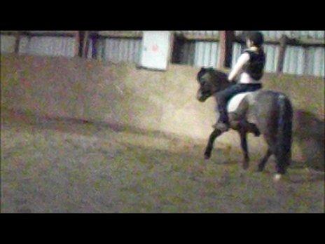 Forskellige af Amir & Jones. :P + Lidt jagtbilleder billede 38