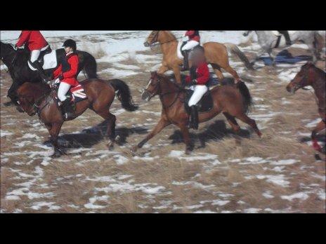 Forskellige af Amir & Jones. :P + Lidt jagtbilleder billede 39