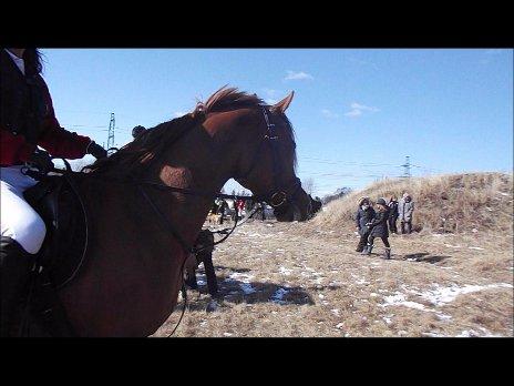 Forskellige af Amir & Jones. :P + Lidt jagtbilleder billede 40