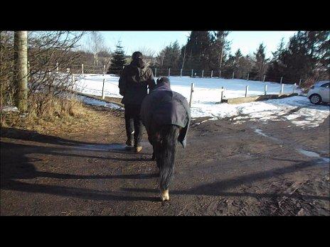 Forskellige af Amir & Jones. :P + Lidt jagtbilleder billede 41