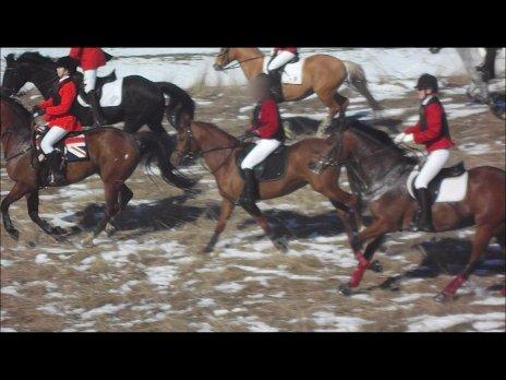 Forskellige af Amir & Jones. :P + Lidt jagtbilleder billede 42