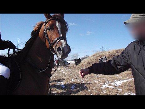 Forskellige af Amir & Jones. :P + Lidt jagtbilleder billede 43