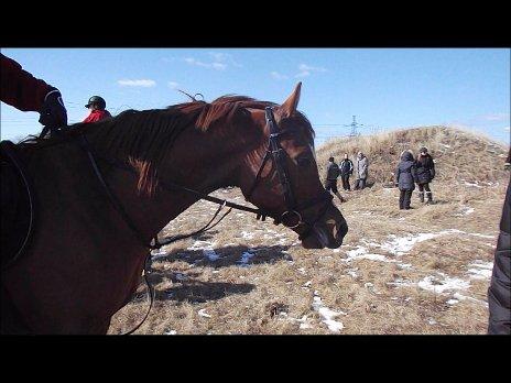 Forskellige af Amir & Jones. :P + Lidt jagtbilleder billede 46