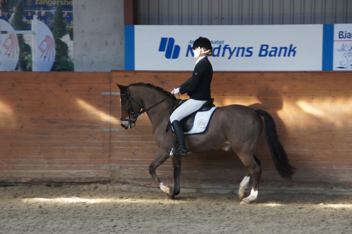 *Hestehavens Rideklub* Vores første LA6 billede 3