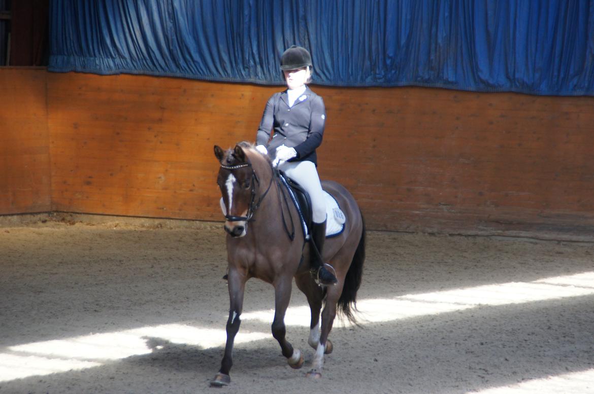 *Hestehavens Rideklub* Vores første LA6 billede 4