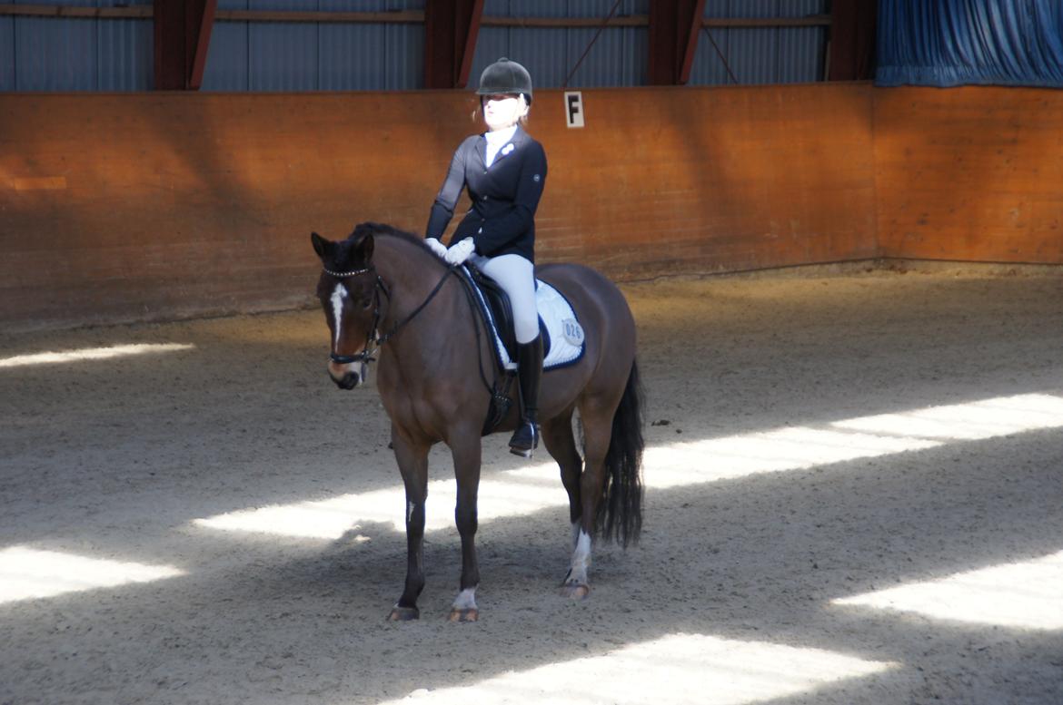 *Hestehavens Rideklub* Vores første LA6 billede 5