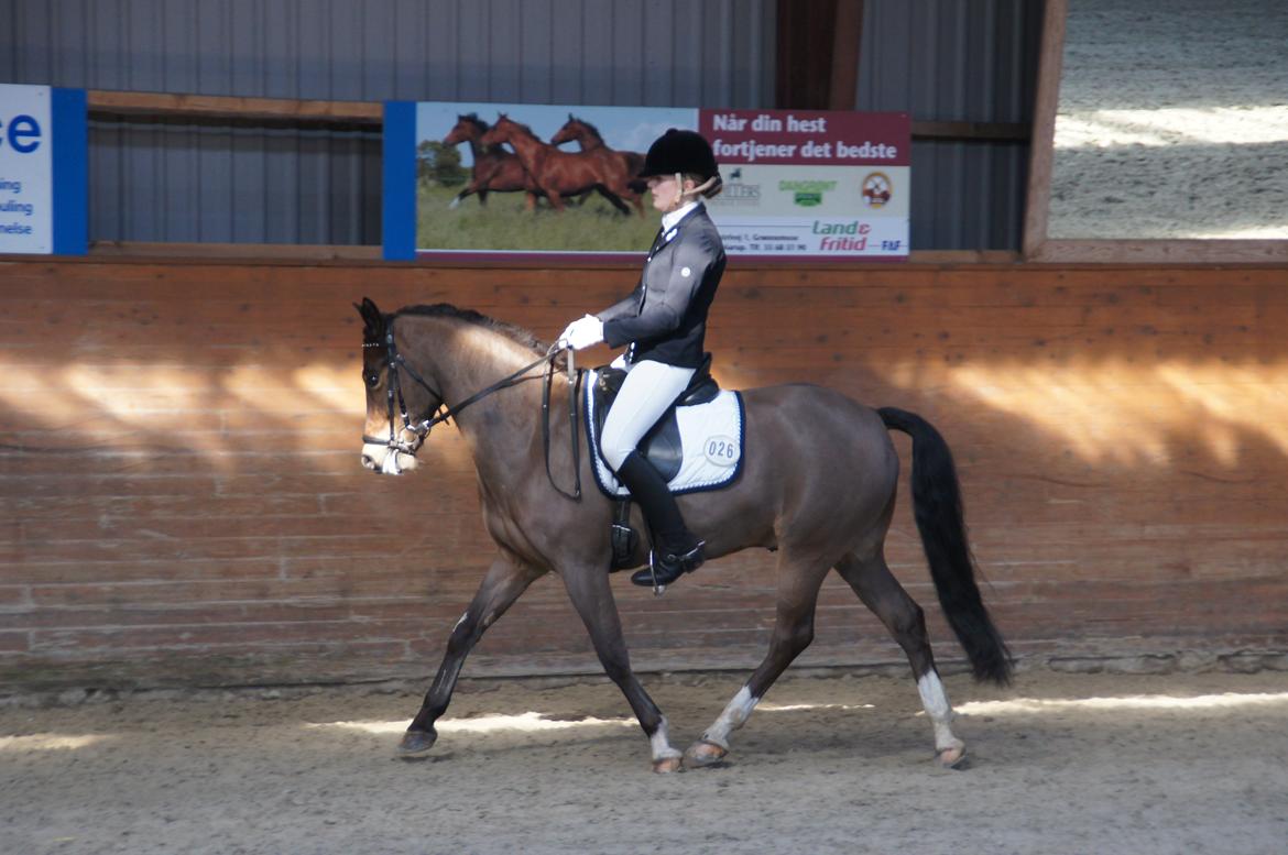 *Hestehavens Rideklub* Vores første LA6 billede 8